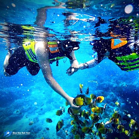 Swim among the wonders of the magical sinkhole and paradise lagoon in an incredible snorkeling experience
